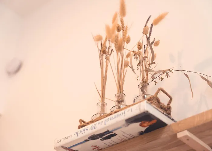 Апартаменты Le Prevert, T3 En Centre Тур