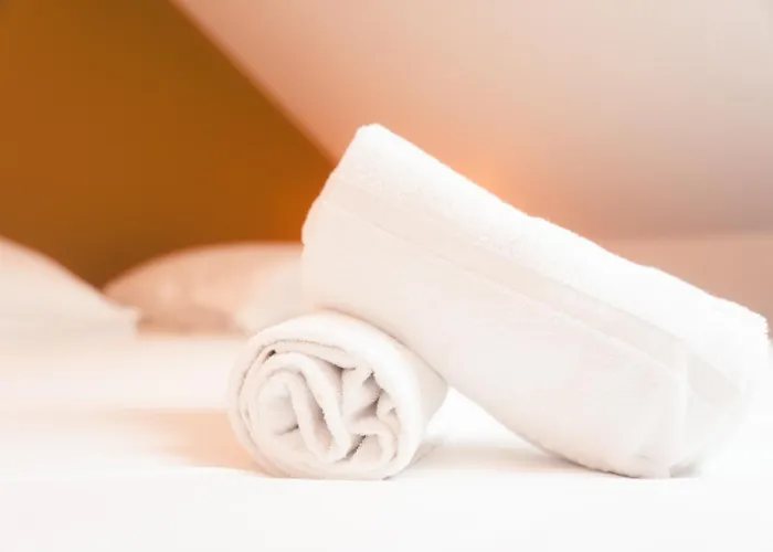 Le Prevert, T3 En Centre * 图尔