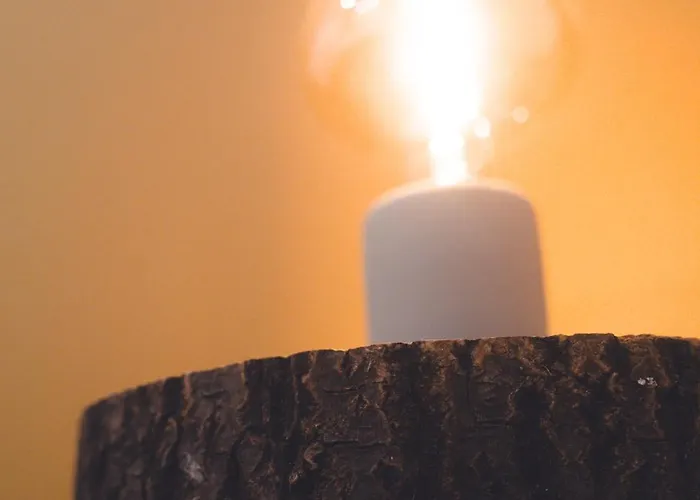 Le Prevert, T3 En Centre شقة